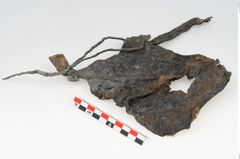 Foto von Rohhaut (NHMW-PRAE-121716)